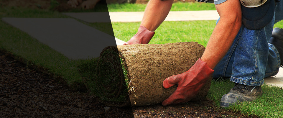 Warren Landscapers